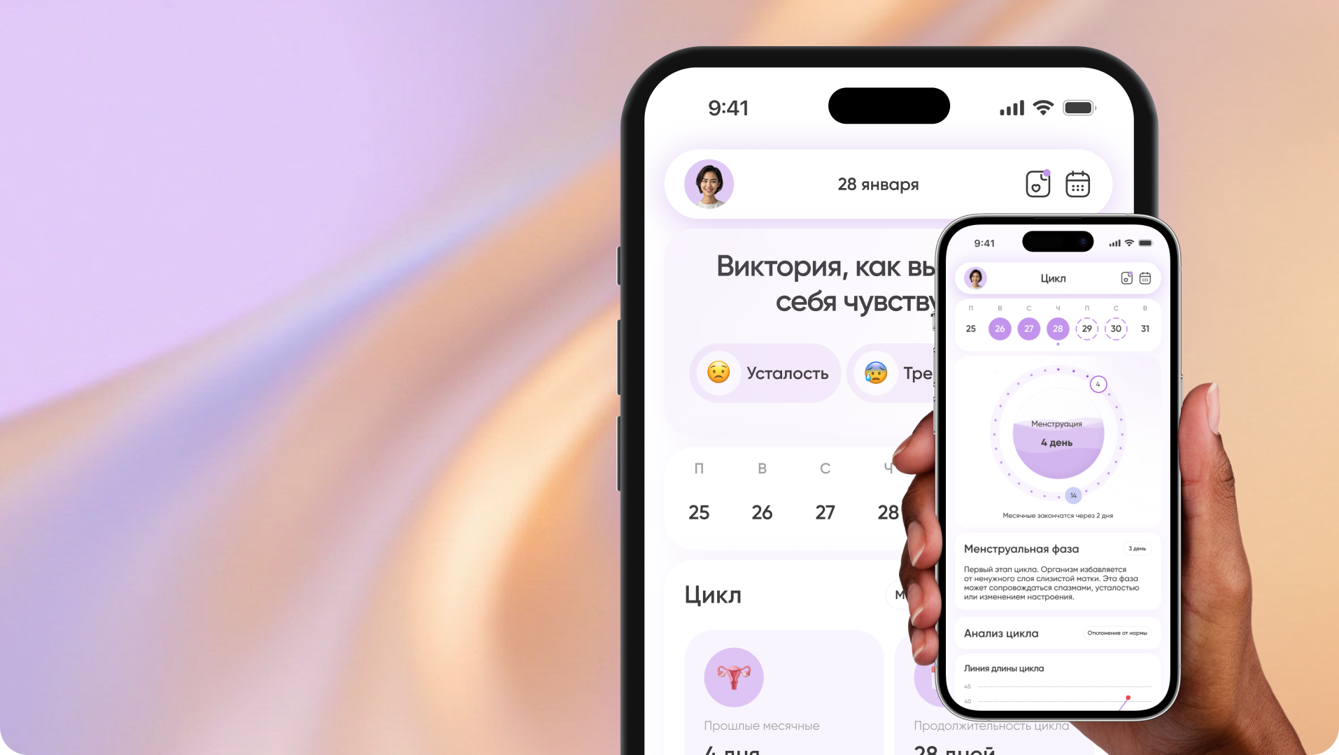 Интерфейс проекта Safi